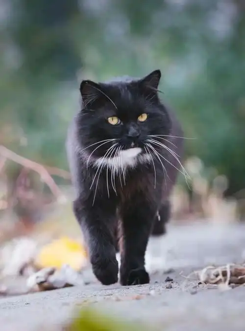 Java中数组和集合的排序与逆序操作